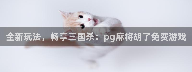 u8国际集团