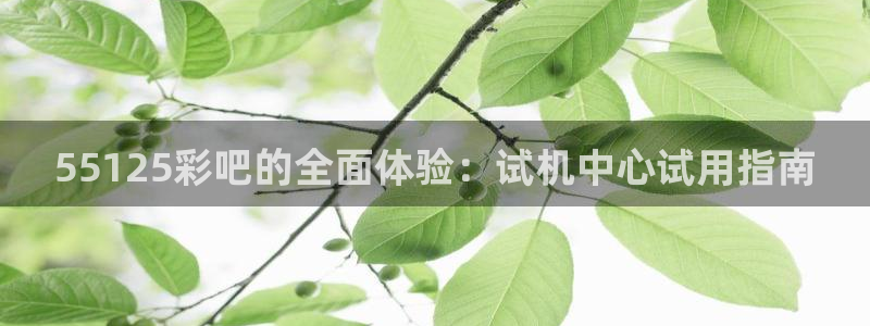 优发国际平台u8