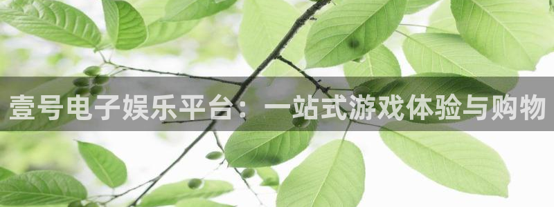 u8国际集团引商：壹号电子娱乐平台：一站式游戏体验与购物