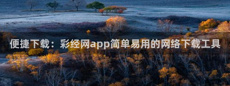 u8国际平台：便捷下载：彩经网app简单易用的网络下载工具