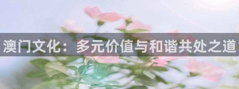 u8国际：澳门文化：多元价值与和谐共处之道
