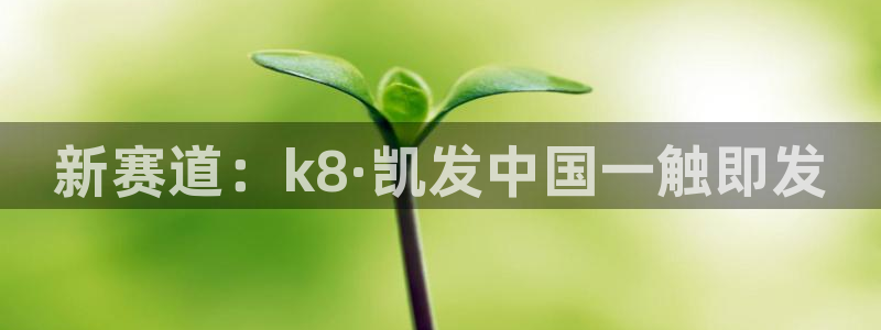 u8国际集团：新赛道：k8·凯发中国一触即发
