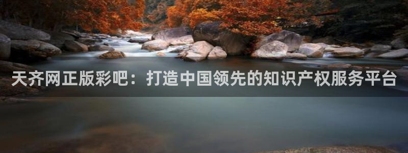 u8国际集团：天齐网正版彩吧：打造中国领先的知识产权服务平台