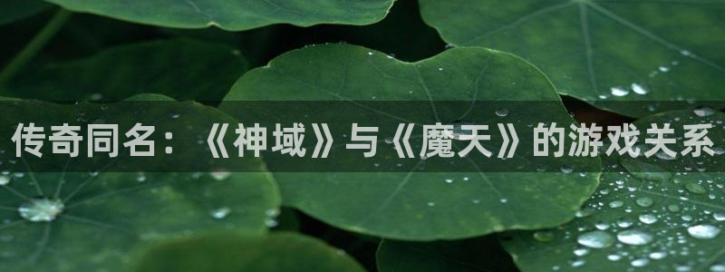 u8国际界面视觉重构.活动专区.中国：传奇同名：《神域》与《魔天》的游戏关系