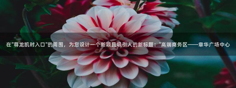 u8国际设计焕新上线.页面浏览.中国：在\