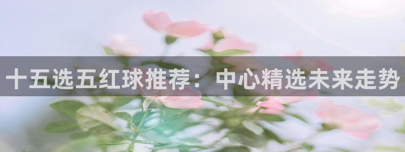 u8国际是什么：十五选五红球推荐：中心精选未来走势