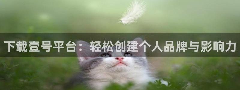 u8是什么意思：下载壹号平台：轻松创建个人品牌与影响力