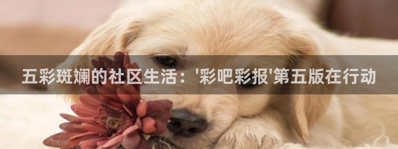 U8国际官网：五彩斑斓的社区生活：\'彩吧彩报\'第五版在行动